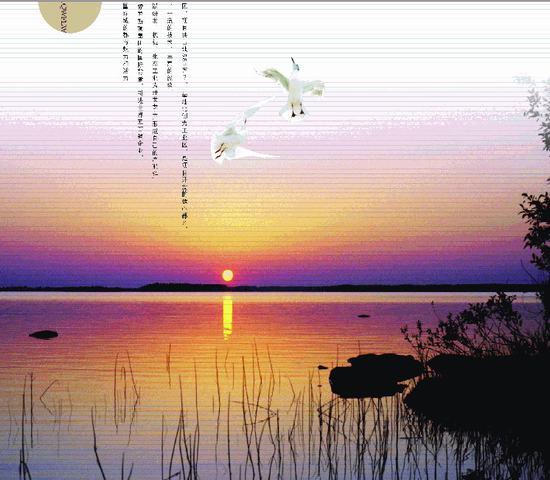 精美风景模板PSD_珊瑚贝