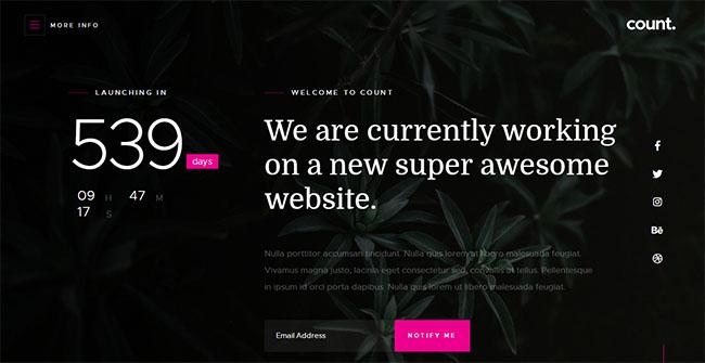 HTML5黑色个人博客统计模板_珊瑚贝