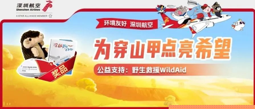背景自动切换倒计时网站模板_珊瑚贝