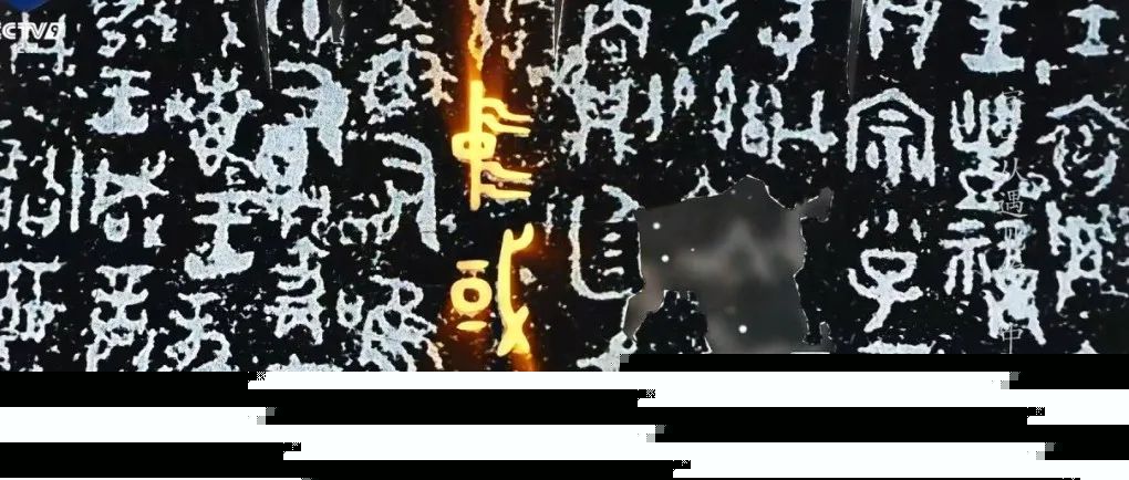 模特摄影公司网站模板_珊瑚贝