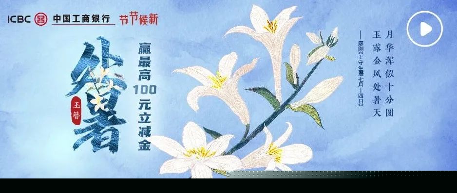 植物网站模板_珊瑚贝