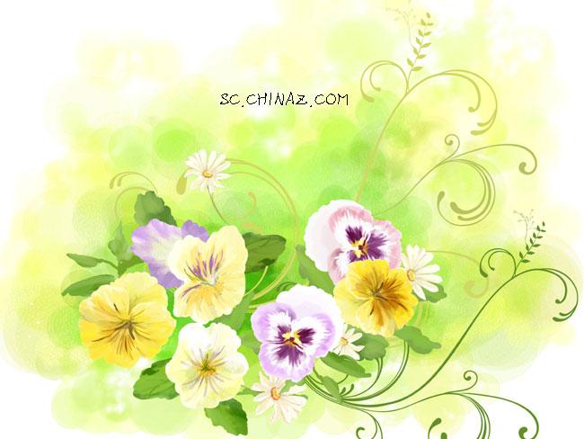 韩国时尚花纹PSD模板_珊瑚贝