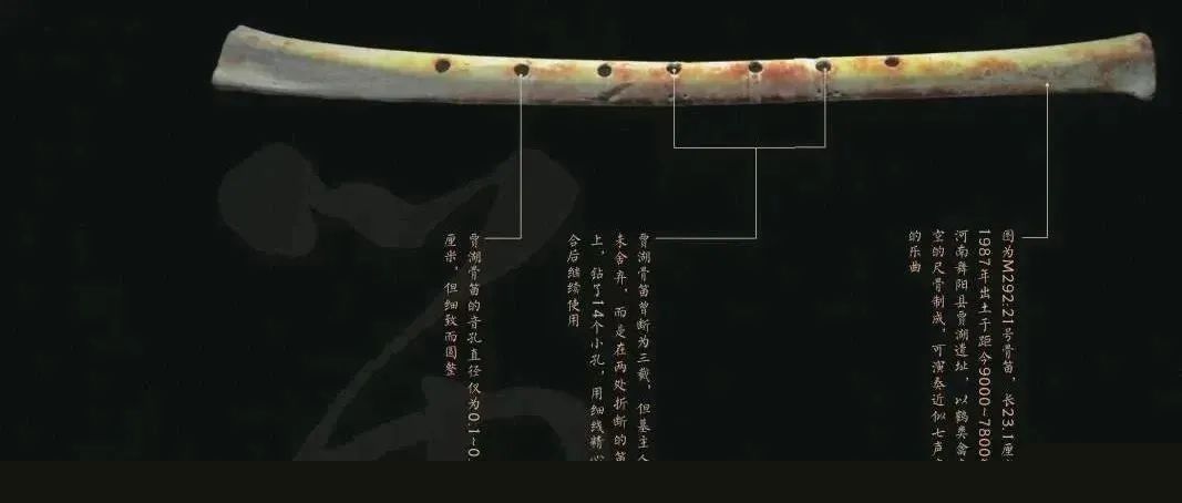 娱乐模板HTML模板下载_珊瑚贝