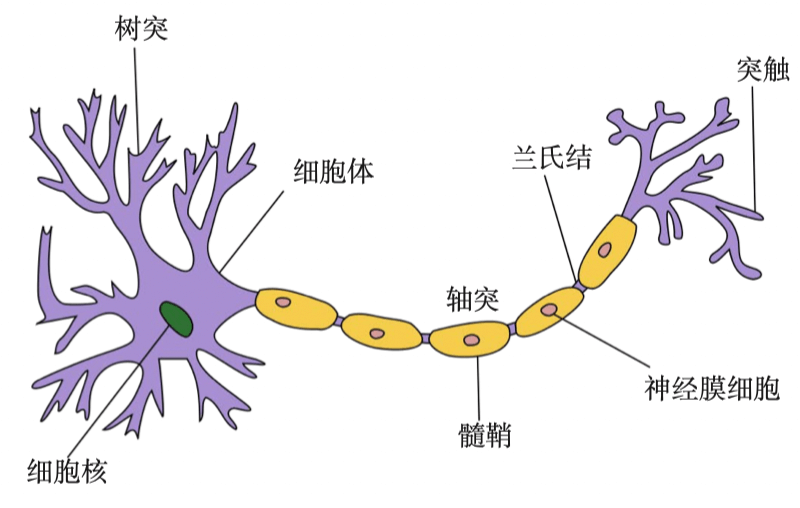 「修炼开始」一文带你入门深度学习